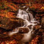 Waterfall in the Green Mountains of Vermont