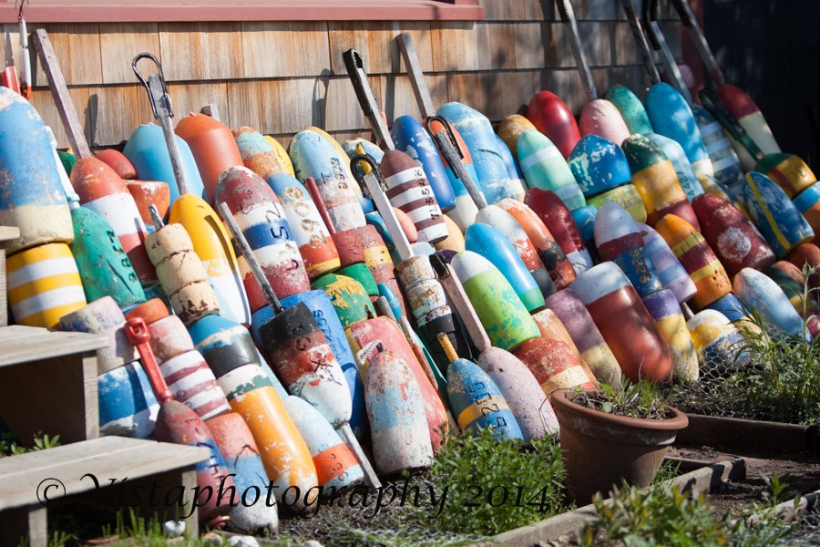 A garden of buoys from lobster traps