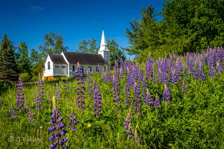 Saint Matthews Church stands proudly in Sugar Hill, New Hampshire, surrounded by the enchanting beauty of a field adorned with vibrant purple lupines