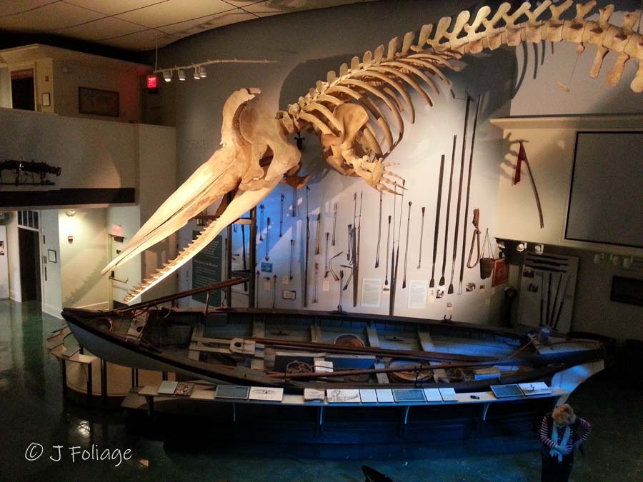 Interior of Nantucket Whaling Museum with whale skeleton and exhibits.