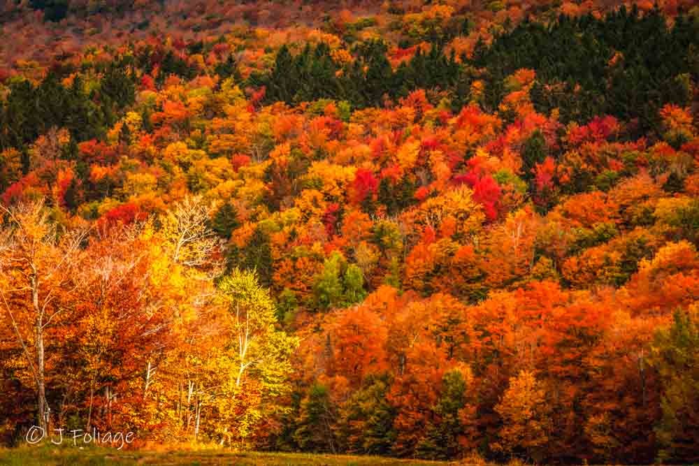 Sun peeking through the clouds to illuminate the hillside