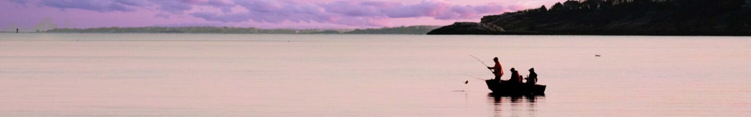 banner image but not in article